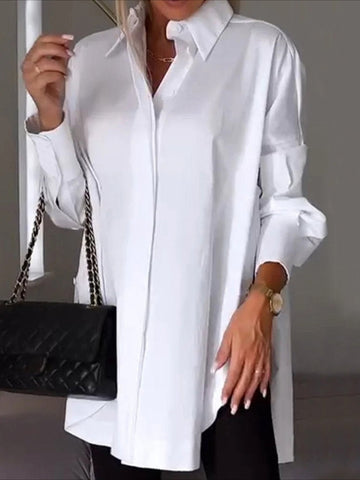 Long Sleeve Plain Regular Loose Blouse